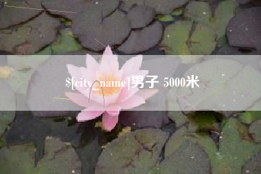 开封男子 5000米