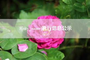 开封执行信息公示