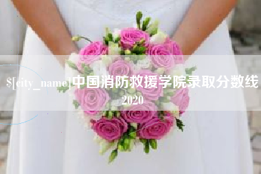 开封中国消防救援学院录取分数线2020