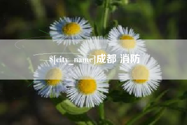 开封成都 消防
