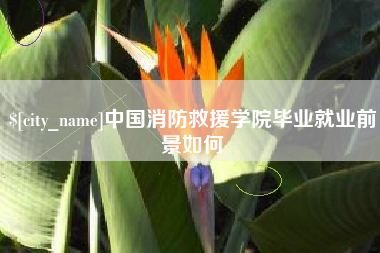 开封中国消防救援学院毕业就业前景如何