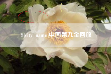 开封中国第九金回放