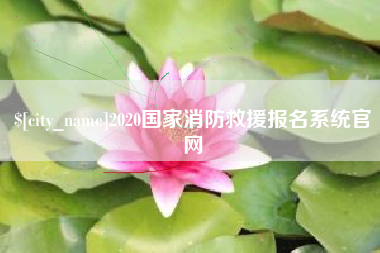 开封2020国家消防救援报名系统官网
