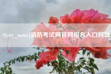 开封消防考试网官网报名入口网址