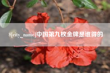开封中国第九枚金牌是谁得的