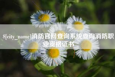 开封消防官网查询系统查询消防职业资格证书