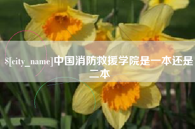 开封中国消防救援学院是一本还是二本
