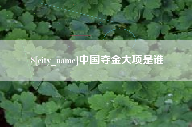 开封中国夺金大项是谁