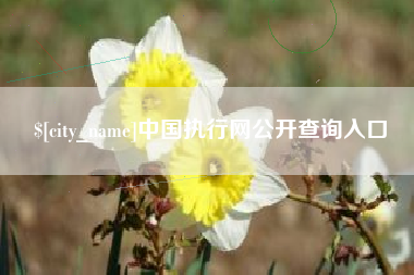 开封中国执行网公开查询入口