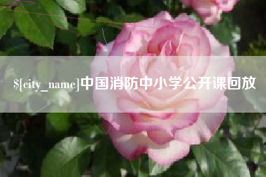 开封中国消防中小学公开课回放