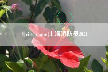 开封上海消防员2021
