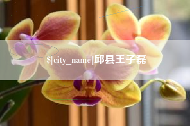 开封邱县王子磊