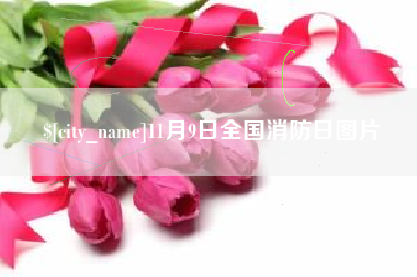 开封11月9日全国消防日图片