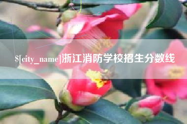 开封浙江消防学校招生分数线