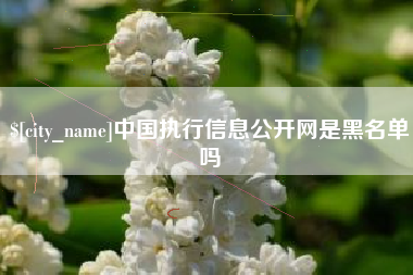 开封中国执行信息公开网是黑名单吗