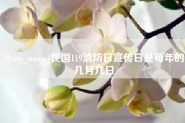 开封我国119消防日宣传日是每年的几月几日