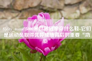 开封5000米世界冠军穿什么鞋-它们是运动员取得优异成绩背后的重要“功臣”