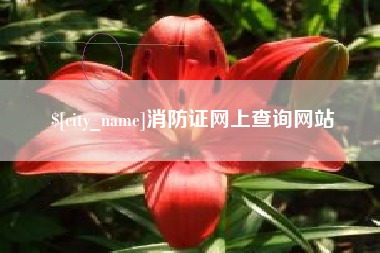 开封消防证网上查询网站