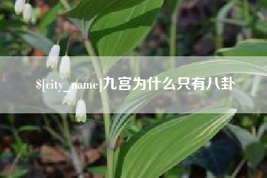 开封九宫为什么只有八卦