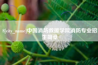 开封中国消防救援学院消防专业招生简章