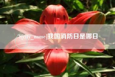 开封我国消防日是哪日