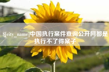 开封中国执行案件查询公开网都是执行不了得案子