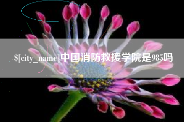开封中国消防救援学院是985吗