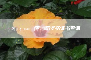 开封查消防资格证书查询