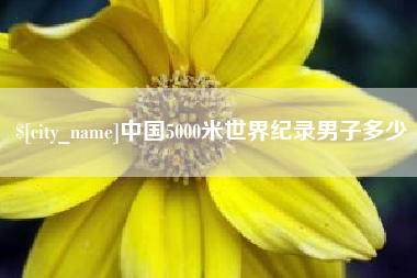 开封中国5000米世界纪录男子多少