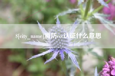开封消防ccc认证什么意思