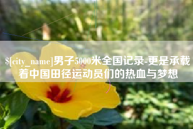 开封男子5000米全国记录-更是承载着中国田径运动员们的热血与梦想