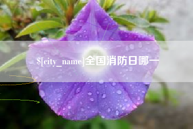 开封全国消防日哪一