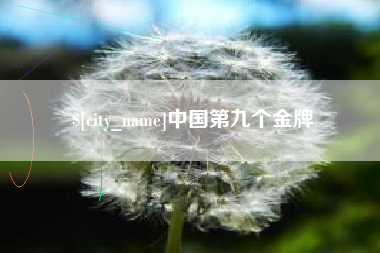 开封中国第九个金牌