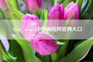 开封中国消防网官网入口