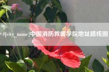 开封中国消防救援学院地址路线图