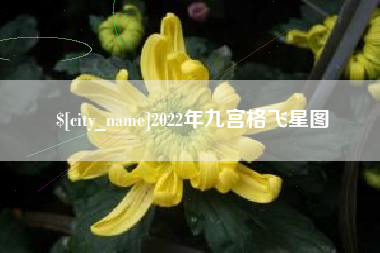 开封2022年九宫格飞星图