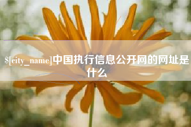 开封中国执行信息公开网的网址是什么