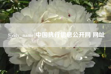 开封中国执行信息公开网 网址