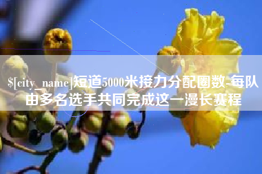 开封短道5000米接力分配圈数-每队由多名选手共同完成这一漫长赛程