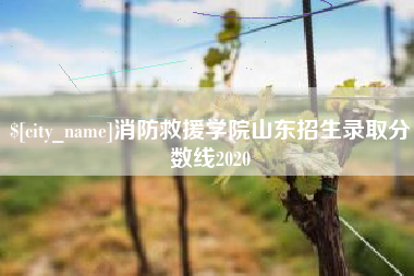开封消防救援学院山东招生录取分数线2020