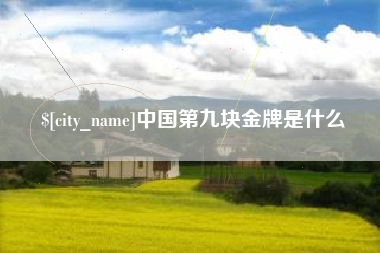 开封中国第九块金牌是什么
