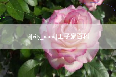 开封王子豪百科