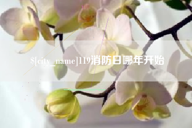 开封119消防日哪年开始