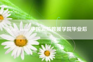 开封中国消防救援学院毕业后
