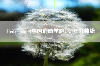 开封中国消防学院2024年分数线
