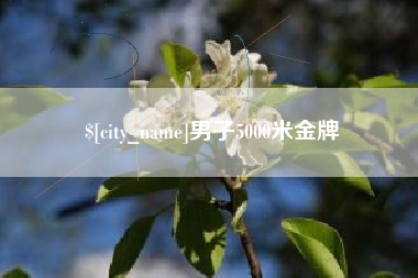 开封男子5000米金牌