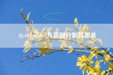 开封九宫图分割线图片