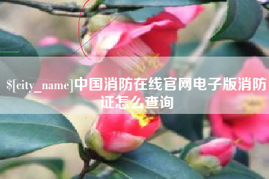 开封中国消防在线官网电子版消防证怎么查询