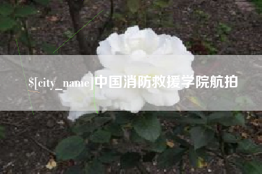 开封中国消防救援学院航拍