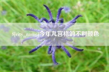 开封今年九宫格的不利颜色